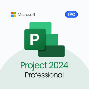 Microsoft Project 2024 Professional software package with Microsoft logo on a light gray background