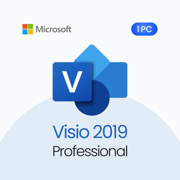 Microsoft Visio 2019 Professional software package on a white background