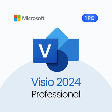 Microsoft Visio 2024 Professional software package with Microsoft logo on a light blue background