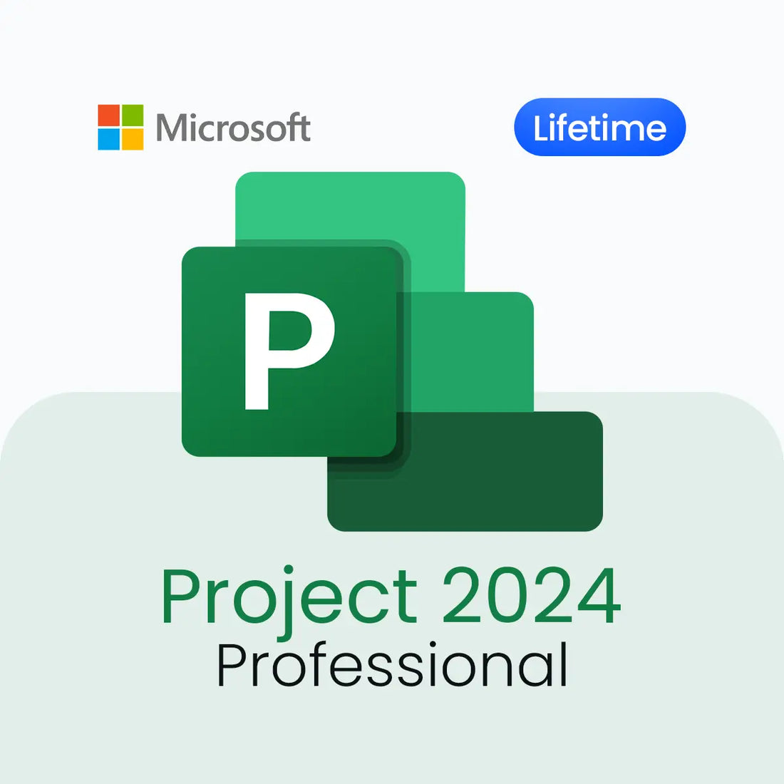 Microsoft Project 2024 Professional software package with a lifetime license on a light gray background.
