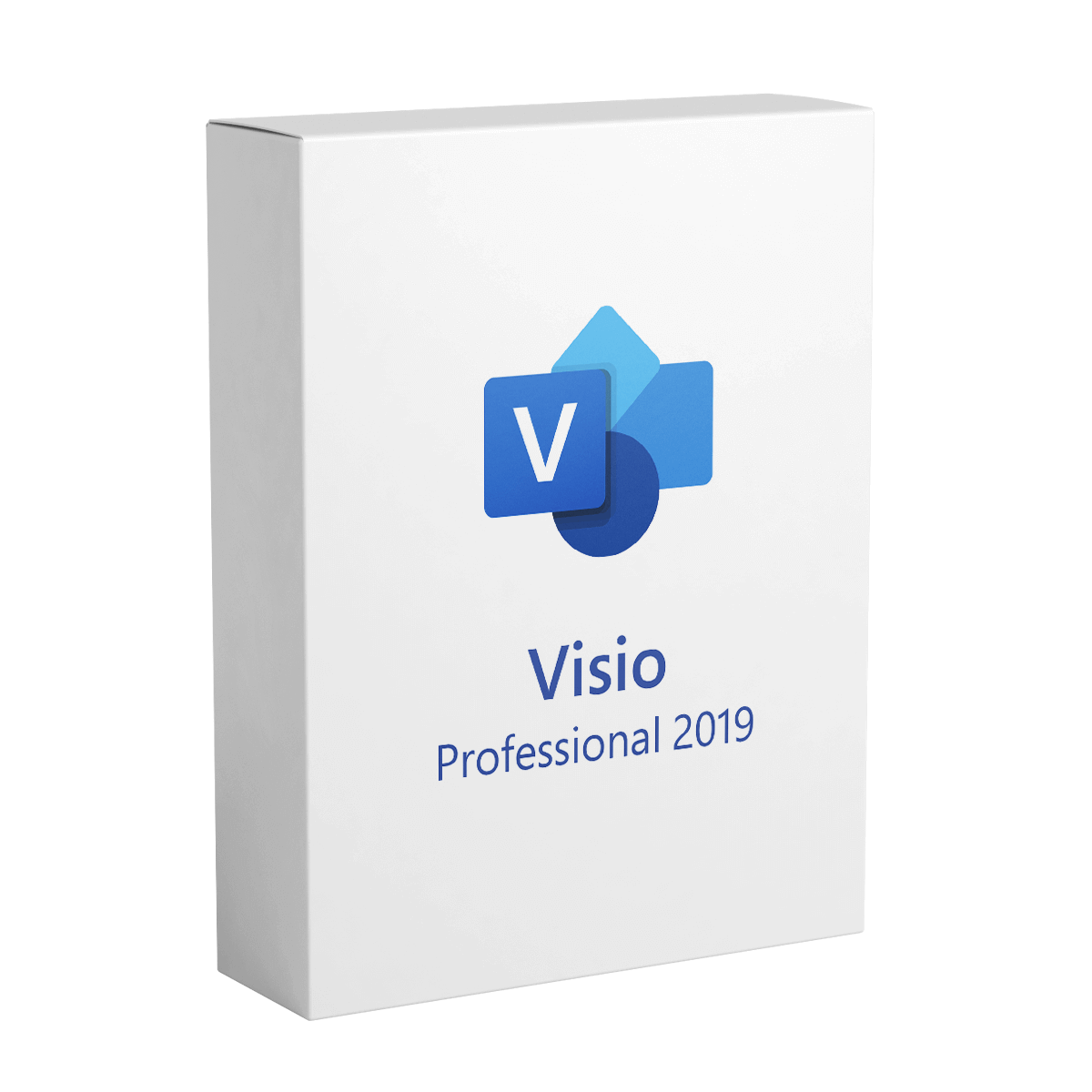 Visio Professional 2019 - Lifetime License for 1 PC