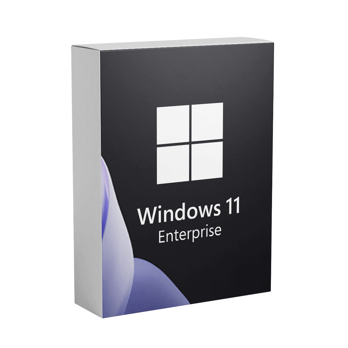 Windows 11 Enterprise - Lifetime License for 1 PC