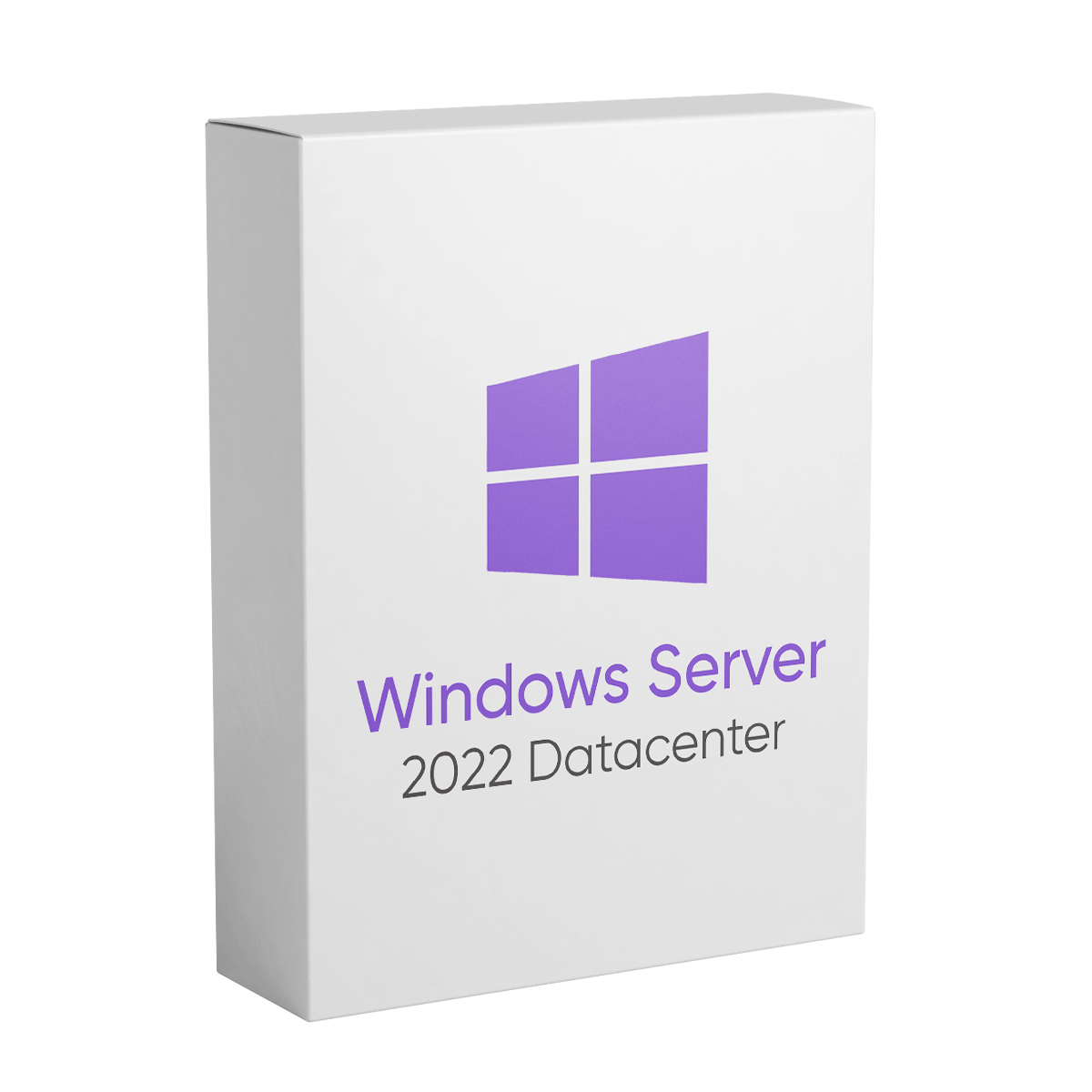 Windows Server 2022 Datacenter - Lifetime License for 1 PC