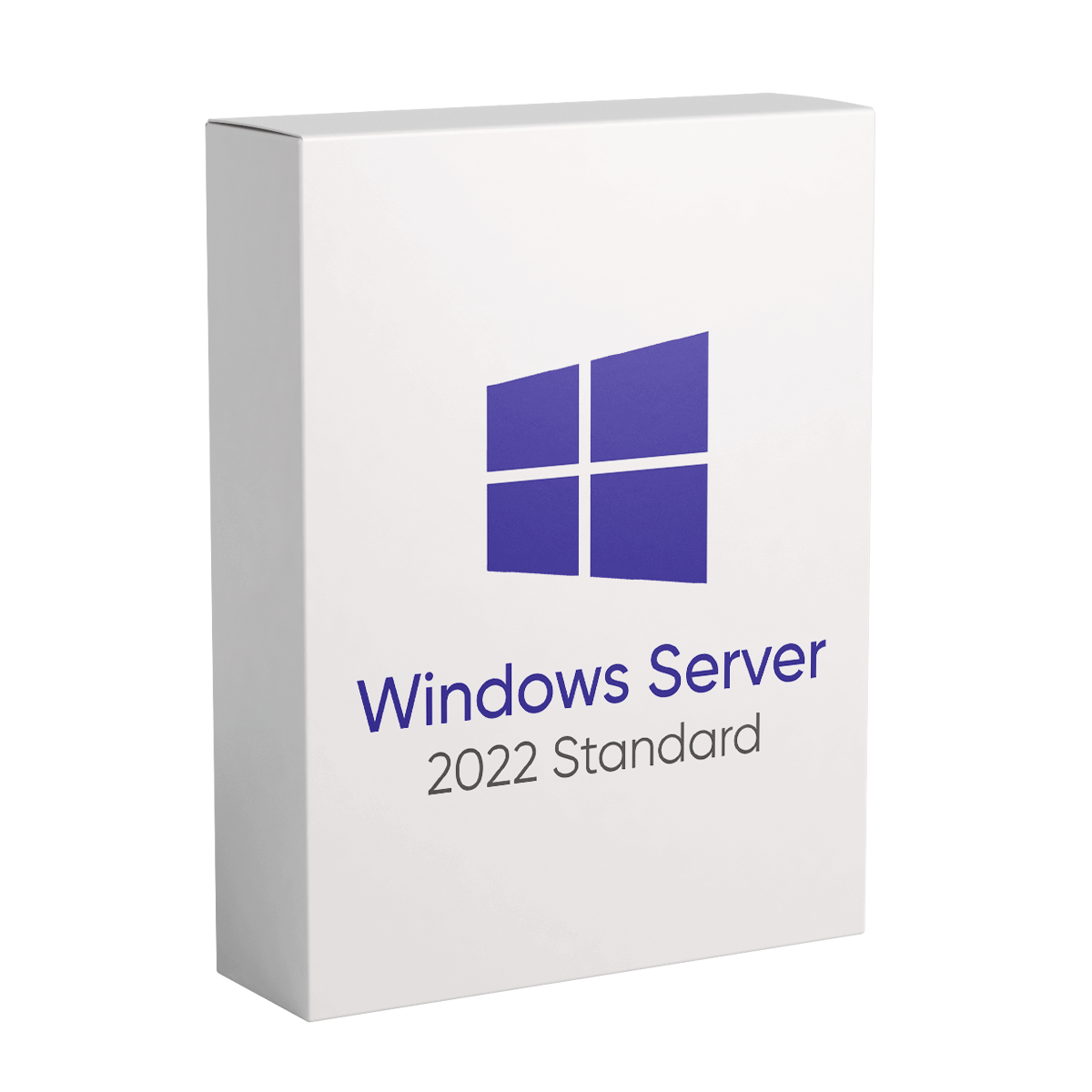 Windows Server 2022 Standard - Lifetime License for 1 PC