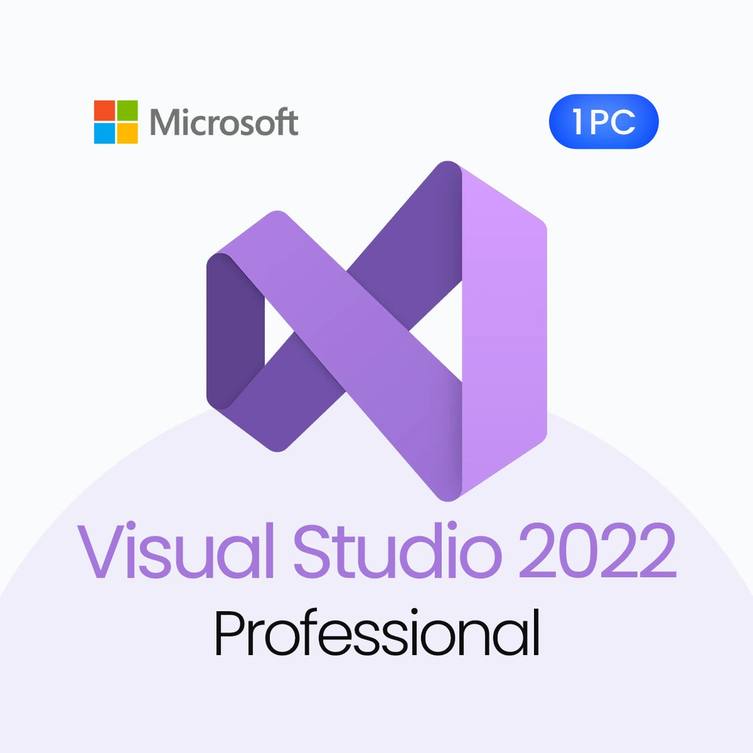 Microsoft Visual Studio 2022 Professional logo with Microsoft logo on a white background