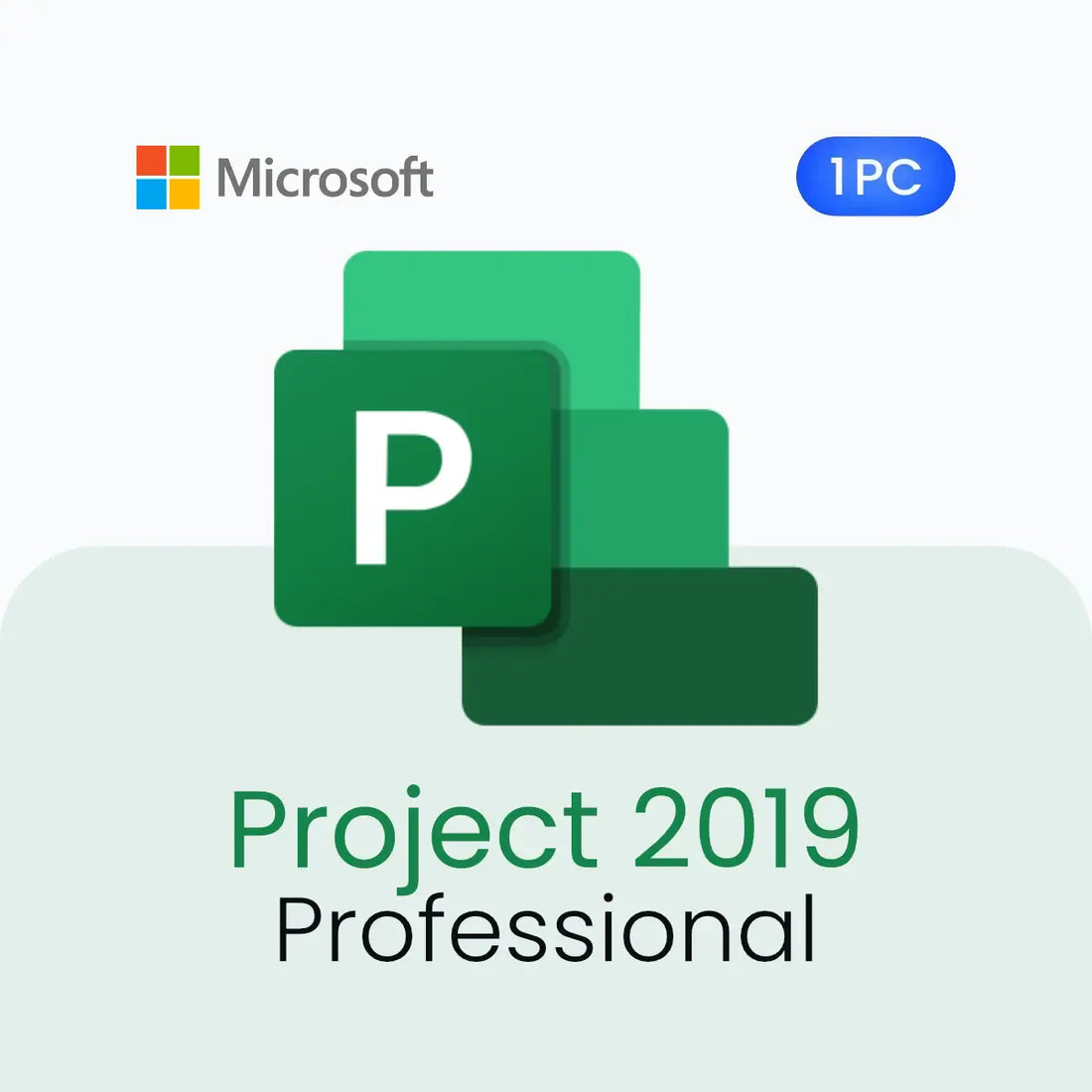 Microsoft Project 2019 Professional software package on a light gray background