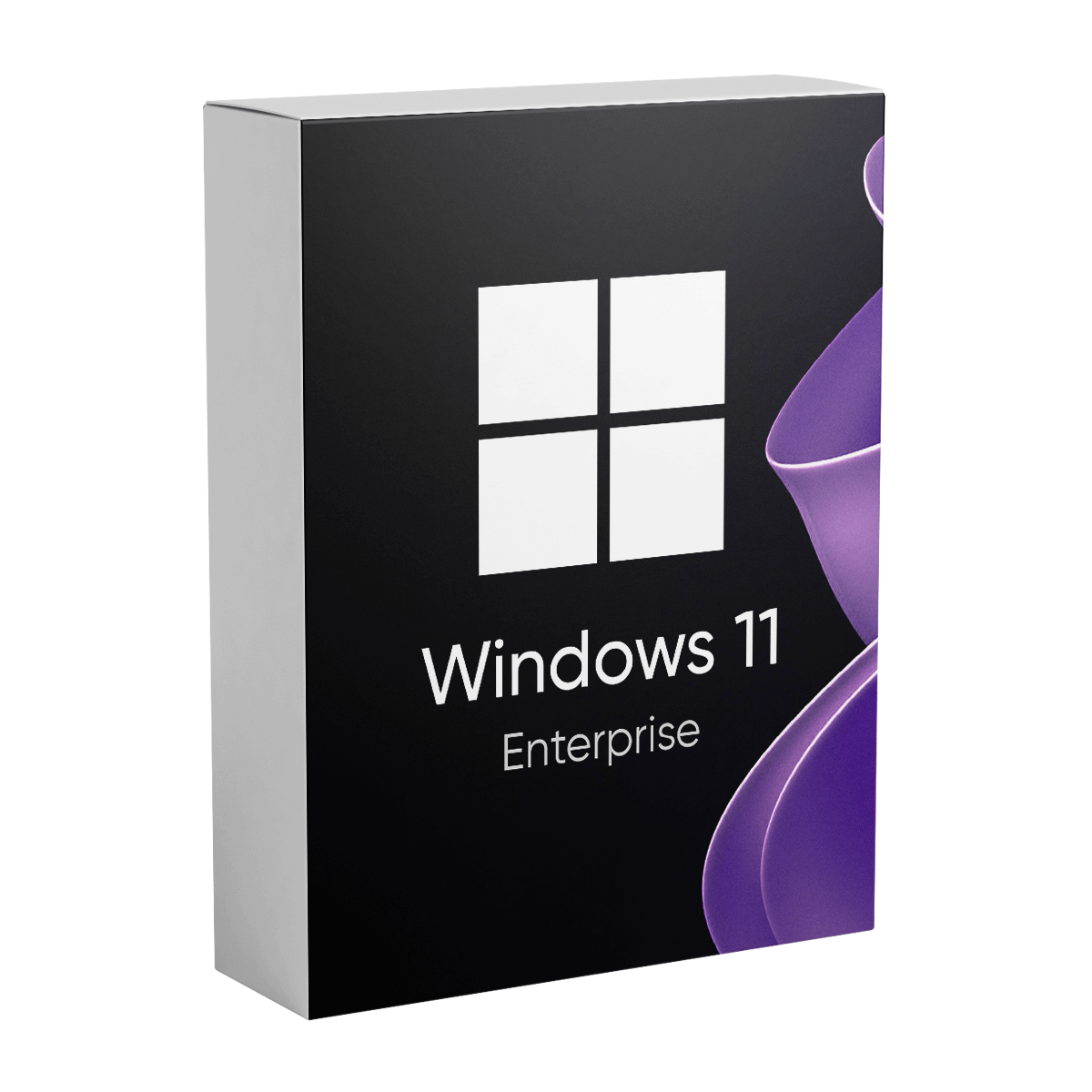 Windows 11 Enterprise - Lifetime License for 1 PC